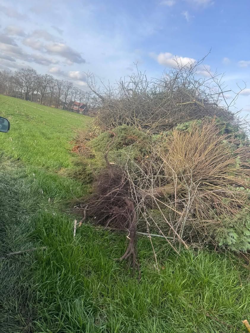 Eigenaar gezocht🧐 Zou de eigenaar van deze prachtexemplaren zijn/haar rotzooi weer mee willen nemen? Het storten van sn...